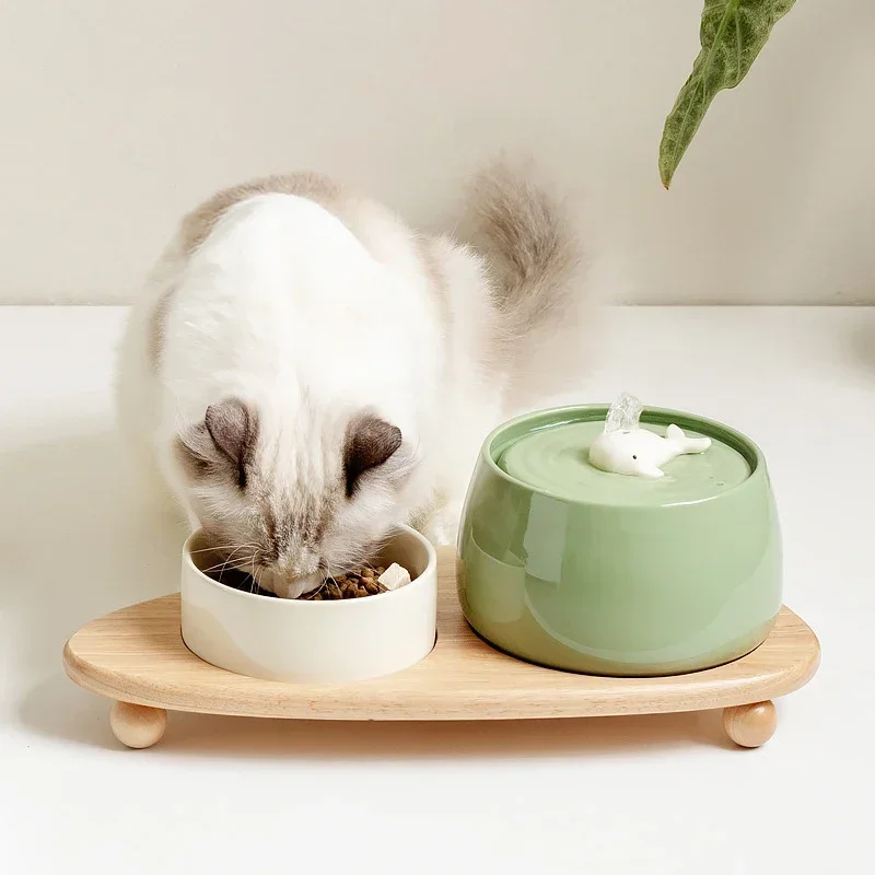 A ceramic water fountain is one of the easiest pet enrichment ideas to keep your pet hydrated.