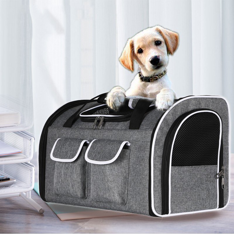 Best pet travel carriers UK for hiking