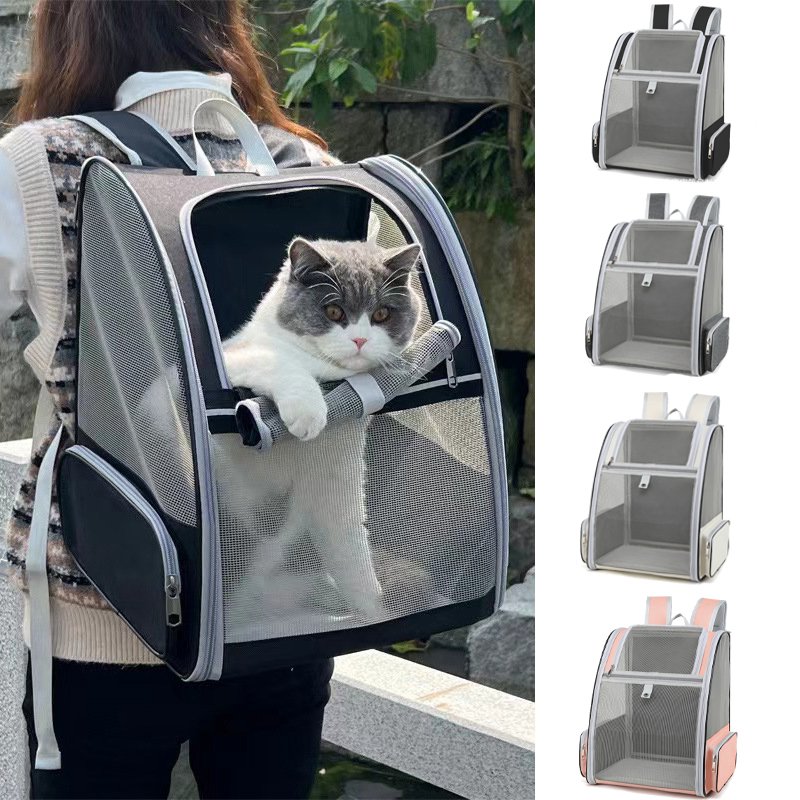 Small dog resting securely in a portable padded dog carrier backpack.