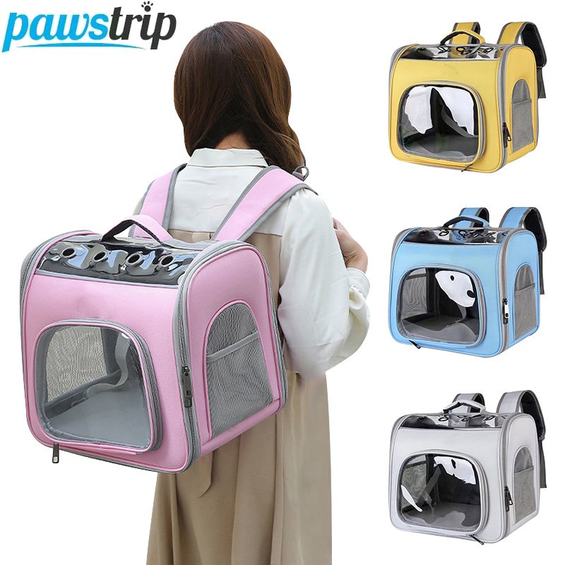 Cat enjoying the view from a breathable outdoor travel cat backpack.