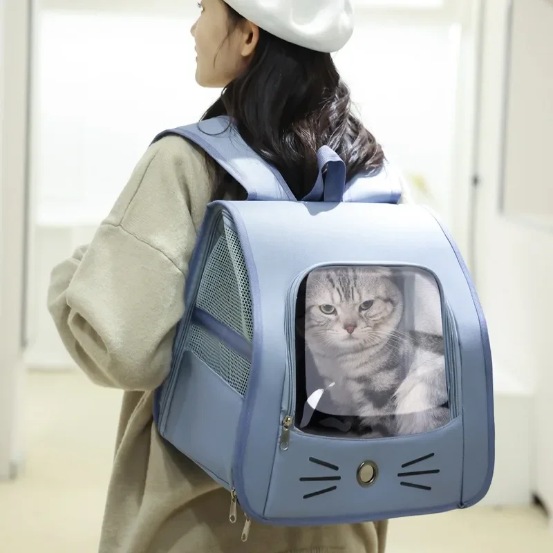 Best pet travel accessories UK for car safety and hiking
