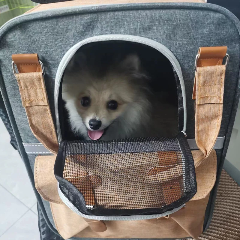 Breathable travel backpack for small dogs, completing our list of pet travel essentials UK.