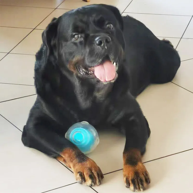 Caitec durable squeaker ball for medium and large dogs, a tough interactive dog toy.