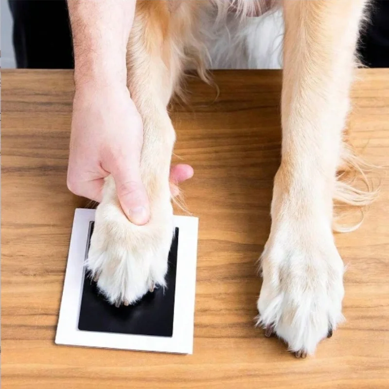 Inkless pet paw print kit for creating calm, stress-free memories with your pet.