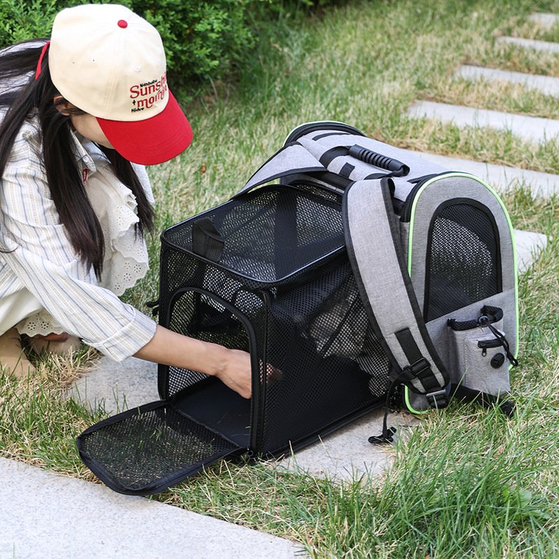 Best pet travel accessories UK for car safety and hiking