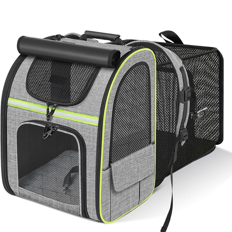 Best pet travel accessories UK for car safety and hiking