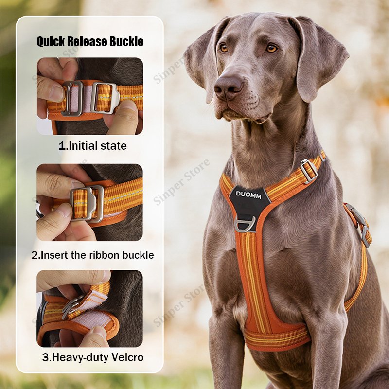 Heavy-duty no-pull dog harness for improved pet well-being UK during walks