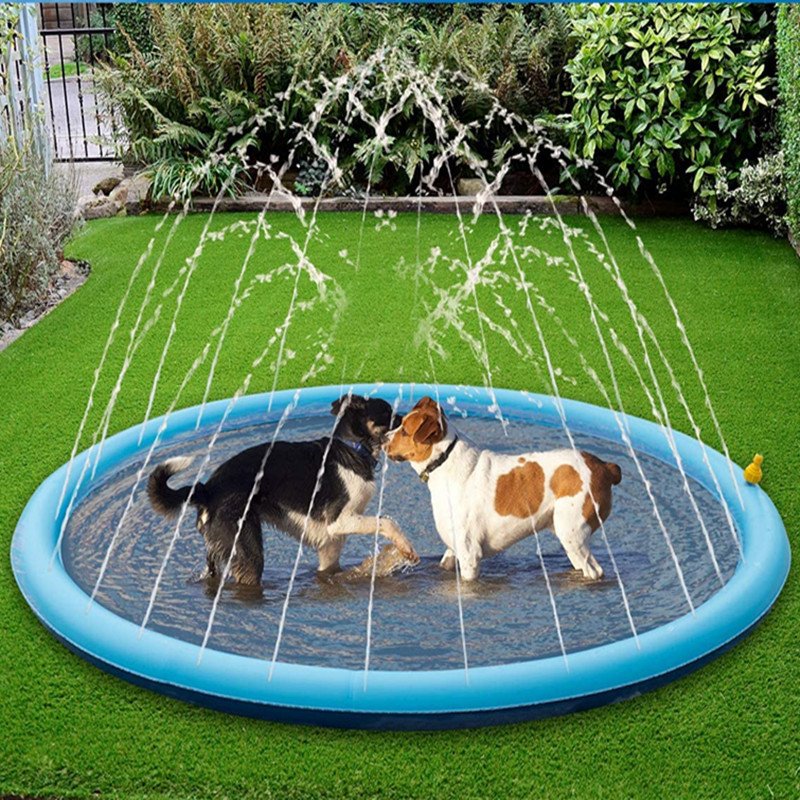 Summer pet bathing tips with an inflatable sprinkler mat