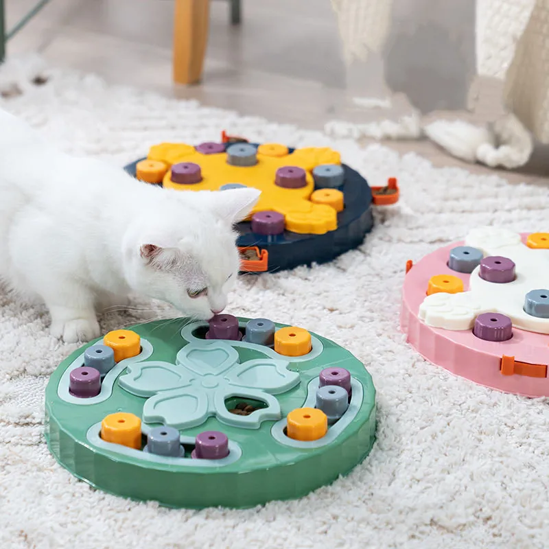 Puzzle feeder for a calm and focused dog