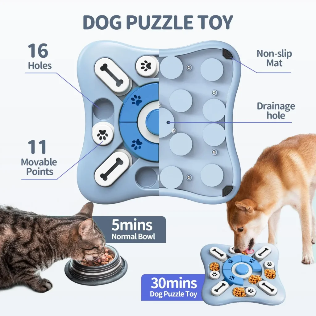 Mental enrichment for dogs in a cosy British home