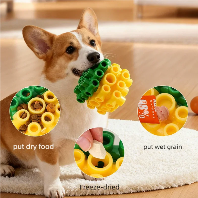 Interactive puzzle toy, a key part of our pet enrichment tips for busy owners