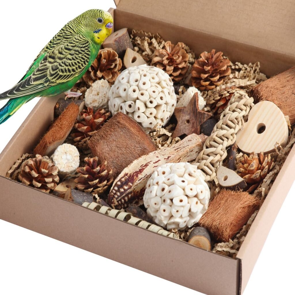 Natural bird foraging box for small parrots to encourage healthy mental stimulation and play.