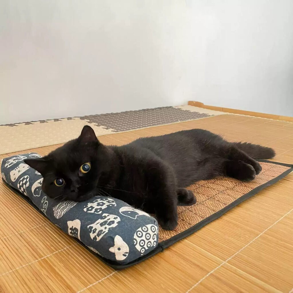 Natural rattan weave self-cooling summer pet mat for temperature regulation.
