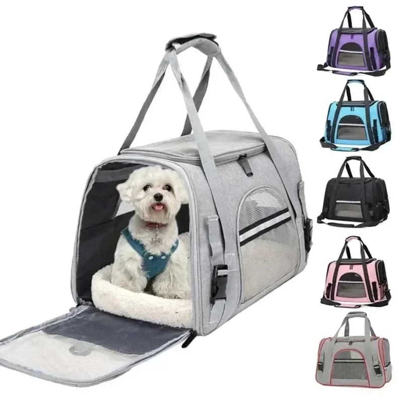 Durable pet travel gear UK for hiking