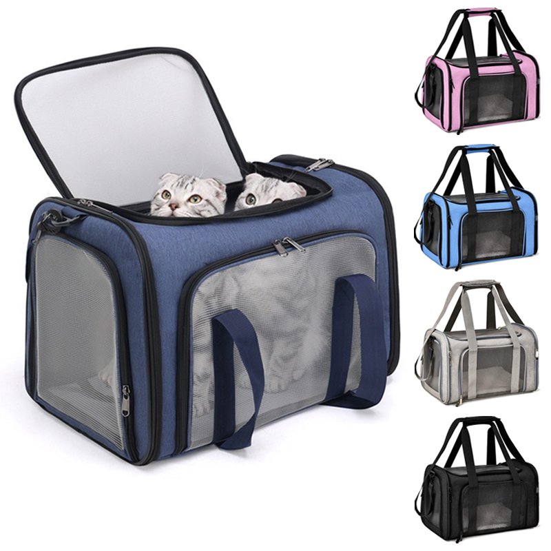 Stylish dog travel backpack for UK city trips