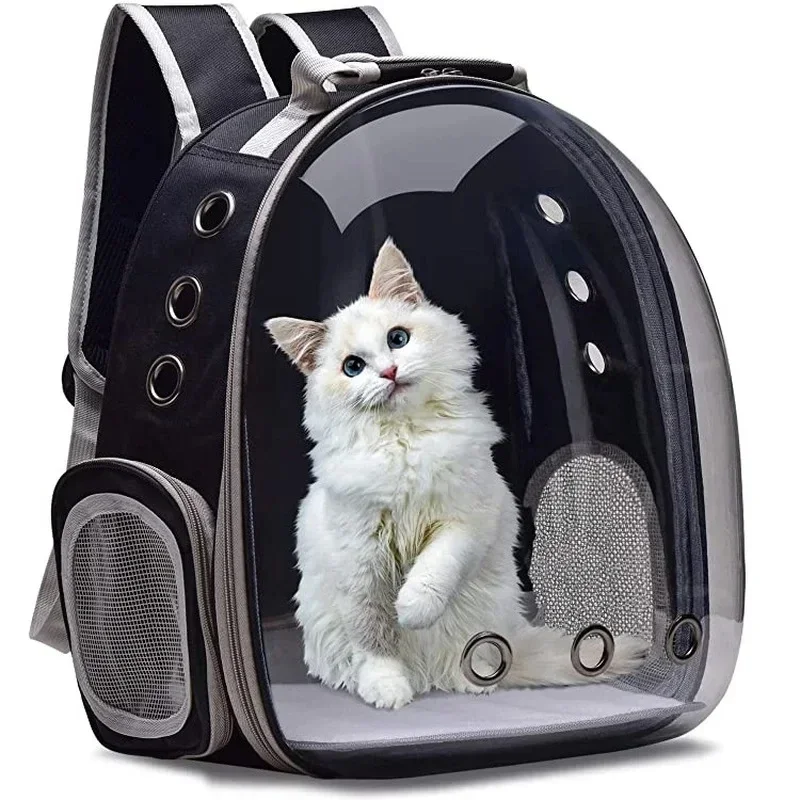 Interior of a pet carrier showing the safety leash and soft padding.