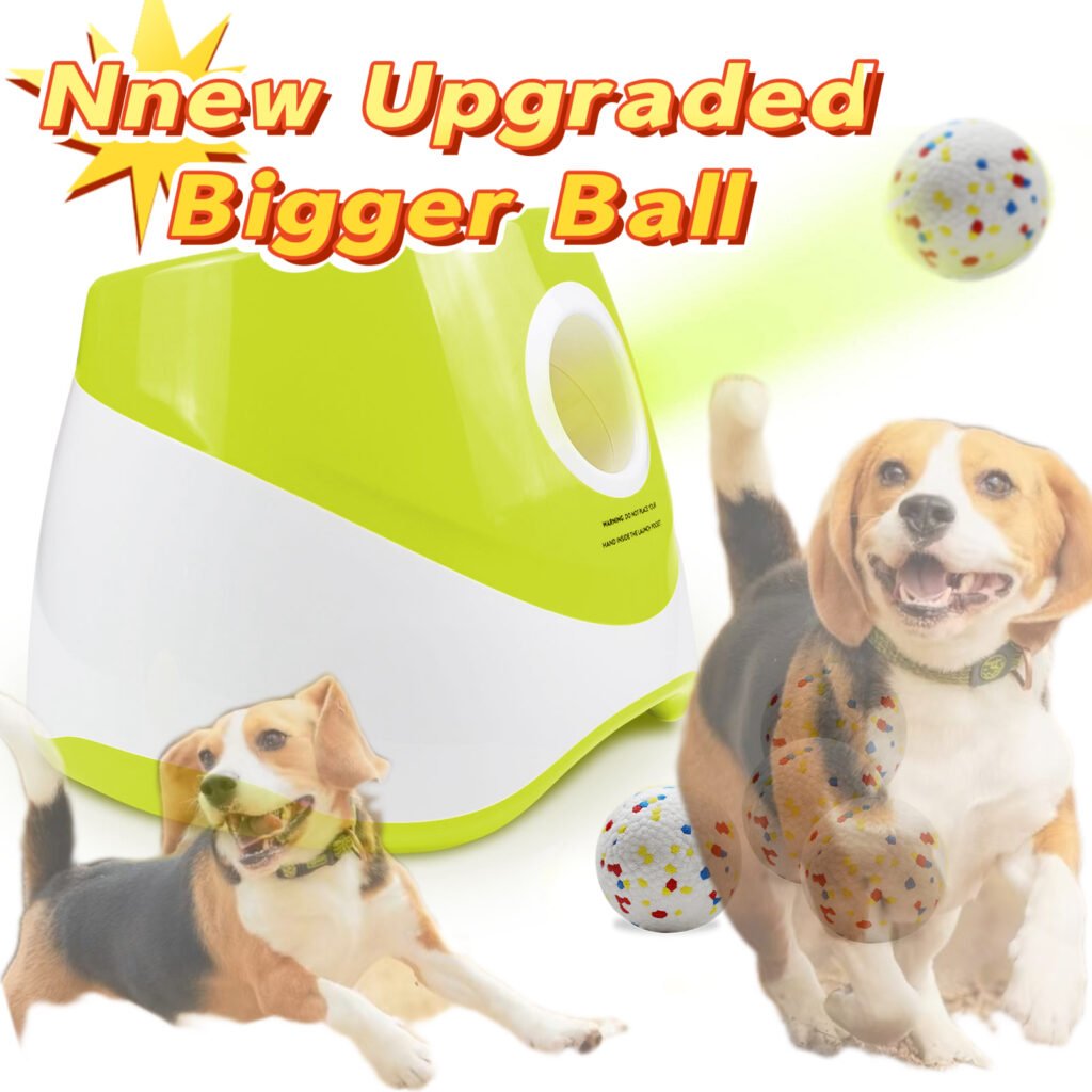 Clever dog learning how to use an automatic ball throwing machine for enrichment.