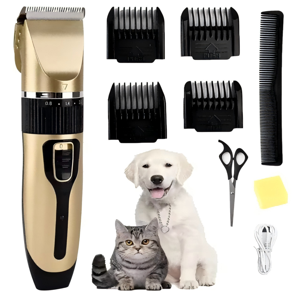A well-groomed dog after a home session.