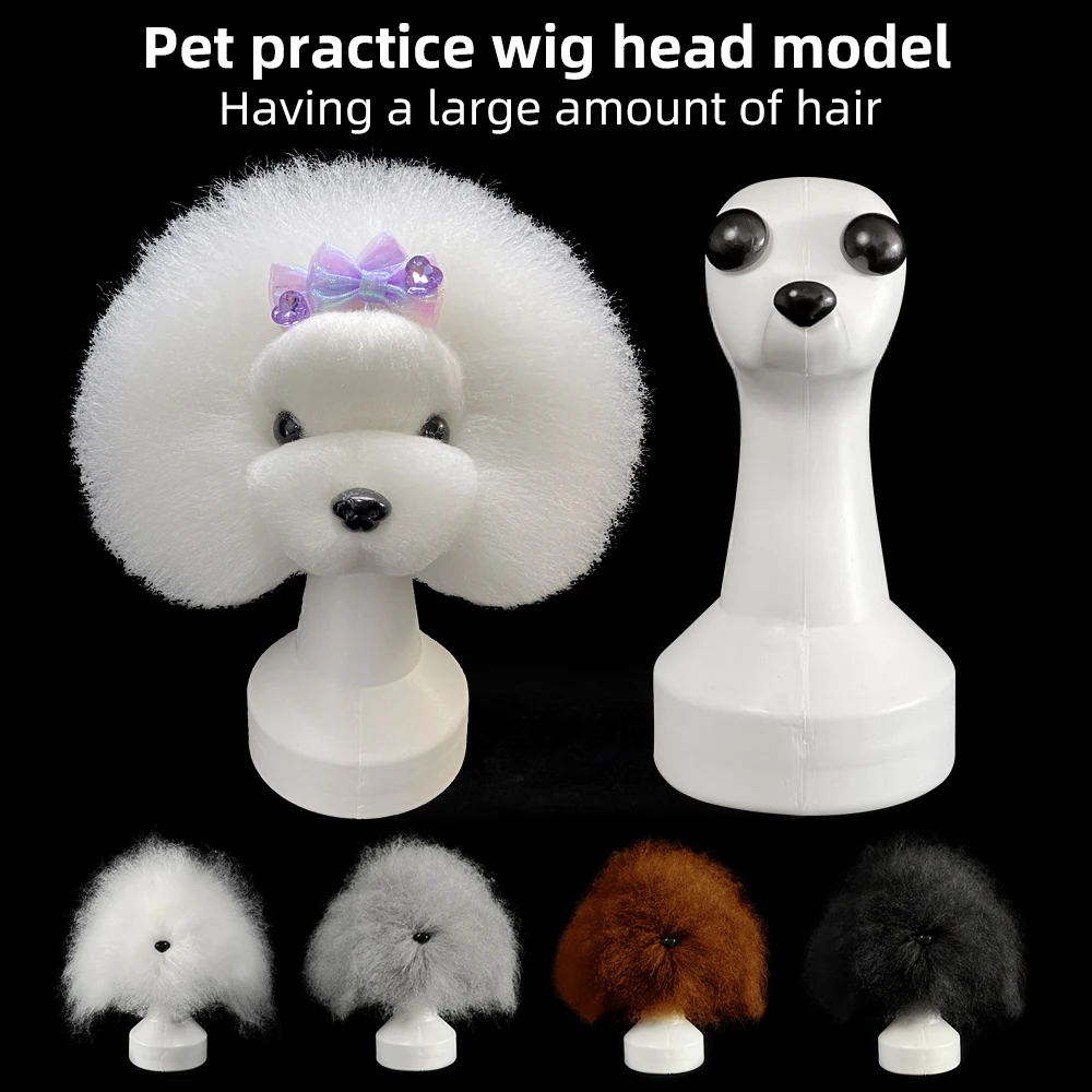 Professional teddy dog model for safe pet grooming practice and pet care UK.