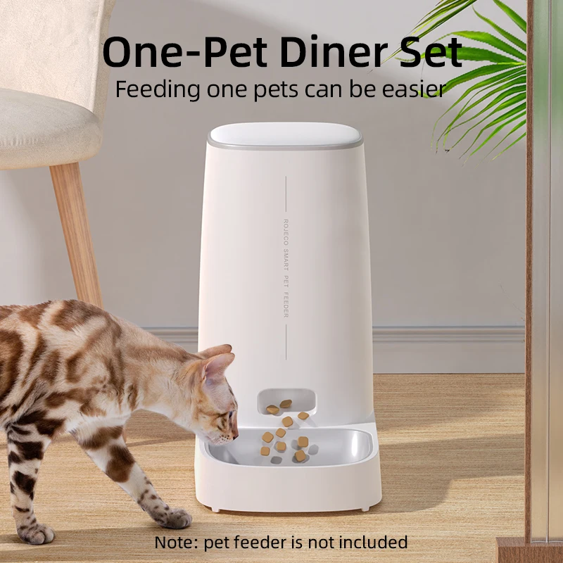 Using an automatic feeder to upgrade your daily routine and pet enrichment ideas.
