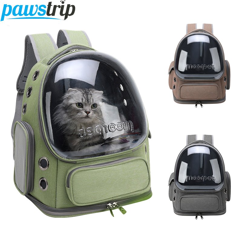 Small dog sitting calmly in a carrier during a car journey.