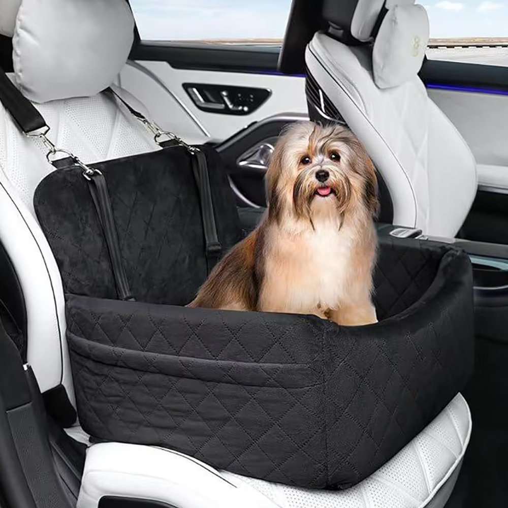 Best pet travel accessories UK for car safety and hiking