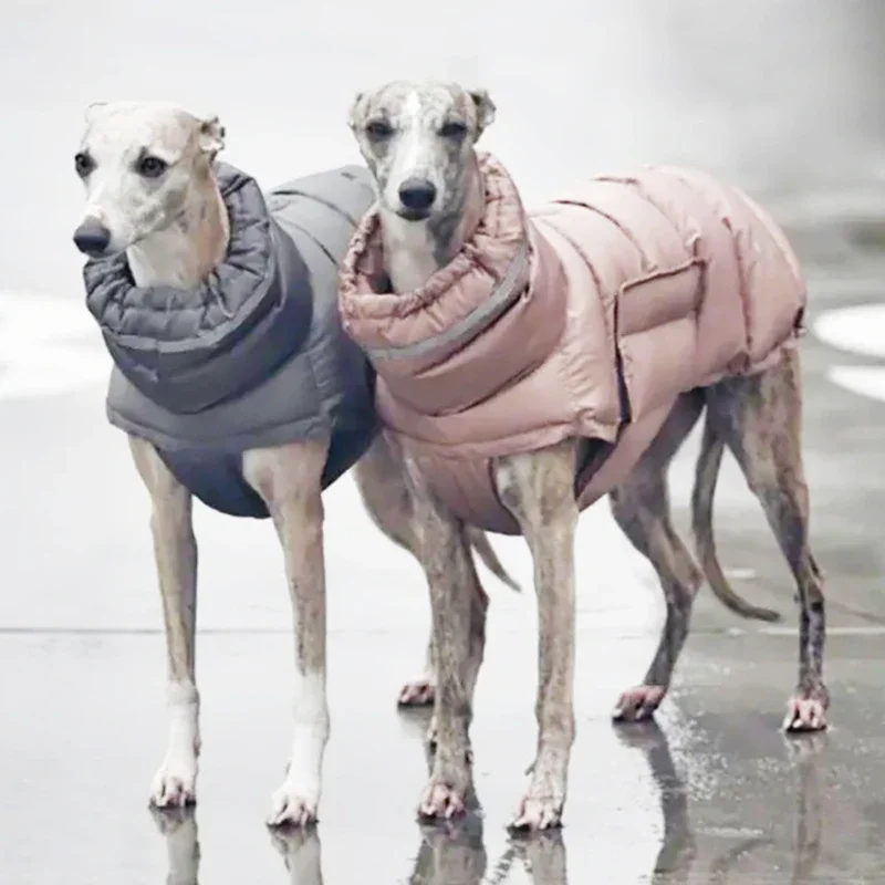 Adjustable straps on a premium dog winter coat for a secure fit.